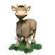 Shamrock's Avatar