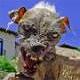 GiG's Dog's Avatar