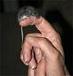 Doctor of Mouse's Avatar