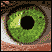 moose's Avatar
