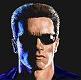 The Terminator's Avatar