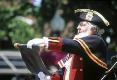 Town Crier's Avatar