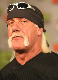 Hulk Hogan's Avatar