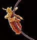 Lice Lice Baby's Avatar
