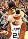 Wile E.'s Avatar