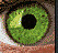 mouse..'s Avatar