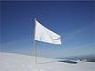 White Flag's Avatar