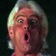 RicFlair's Avatar