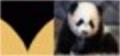 LadySpursStalker's Avatar