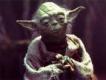 jedi master yoda's Avatar