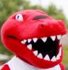 Rappin' Raptor's Avatar