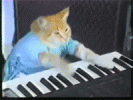 Keyboard Cat's Avatar