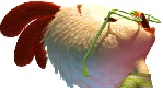 Chicken Little's Avatar