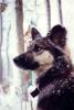 Mol3663's Avatar