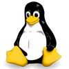 Rene's Avatar