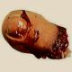 Freetoe's Avatar