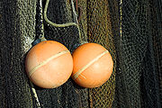 Cock-n-balls's Avatar