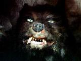 Gmork's Avatar