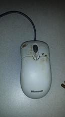 Pavlovs dirty mouse's Avatar